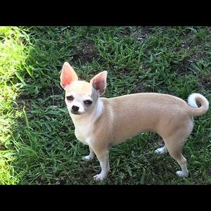 Meet your Posher, Suzanne